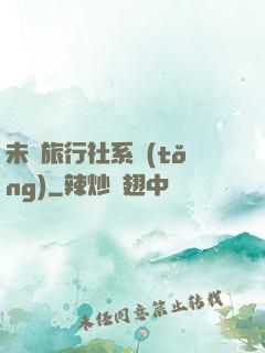 未來旅行社系統(tǒng)