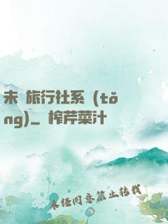 未來旅行社系統(tǒng)