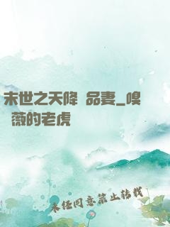 末世之天降極品妻