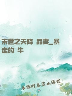 末世之天降極品妻