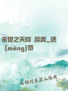 末世之天降極品妻