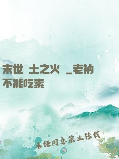 末世廢土之火種