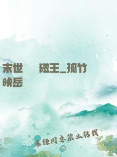 末世無敵萬磁王