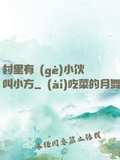 村里有個(gè)小伙叫小方
