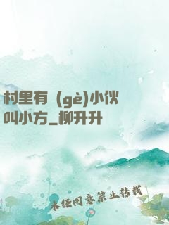 村里有個(gè)小伙叫小方