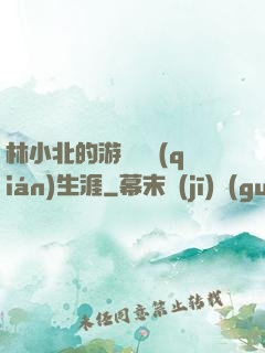 林小北的游戲賺錢(qián)生涯