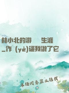林小北的游戲賺錢生涯