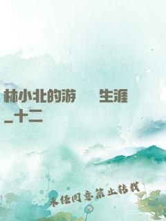 林小北的游戲賺錢生涯