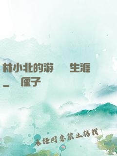 林小北的游戲賺錢生涯