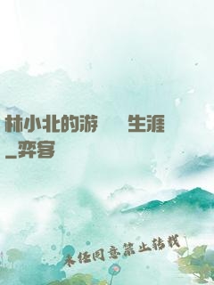 林小北的游戲賺錢生涯