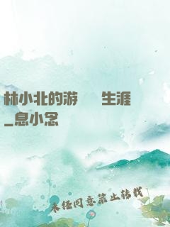 林小北的游戲賺錢生涯