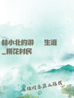 林小北的游戲賺錢生涯