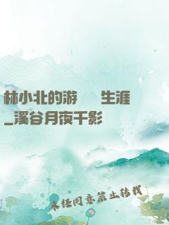 林小北的游戲賺錢生涯