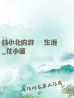林小北的游戲賺錢生涯