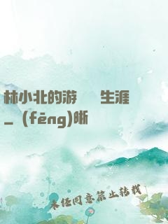 林小北的游戲賺錢生涯