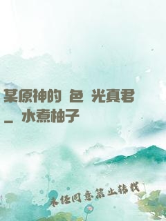某原神的黃色閃光真君