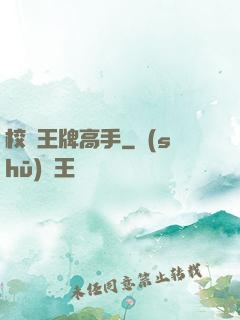 校園王牌高手