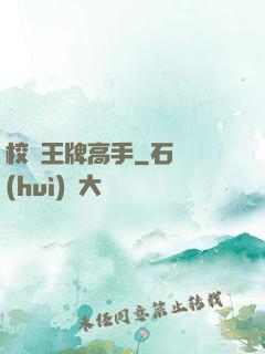校園王牌高手