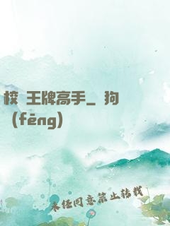 校園王牌高手