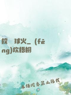 校園籃球火