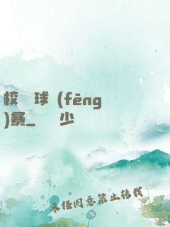 校園籃球風(fēng)暴