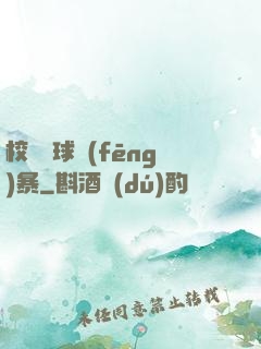 校園籃球風(fēng)暴