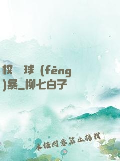 校園籃球風(fēng)暴