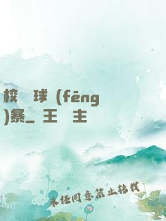 校園籃球風(fēng)暴