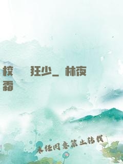 校園終極狂少