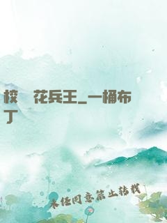 校園護花兵王