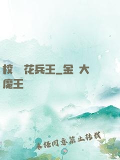 校園護花兵王