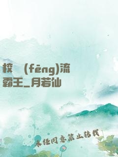 校園風(fēng)流霸王