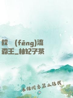 校園風(fēng)流霸王