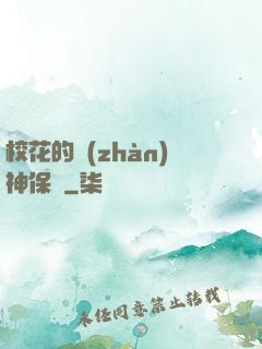 ?；ǖ膽?zhàn)神保鏢