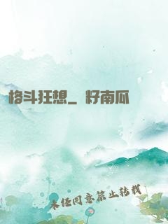 格斗狂想