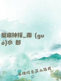 案底神探