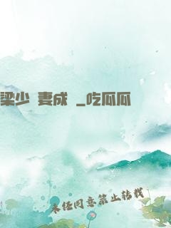 梁少寵妻成癮