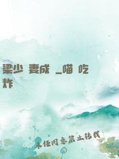 梁少寵妻成癮