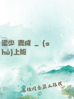 梁少寵妻成癮