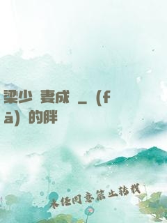 梁少寵妻成癮