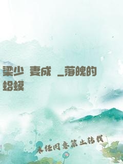 梁少寵妻成癮