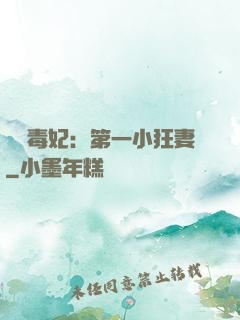 梟寵毒妃：第一小狂妻