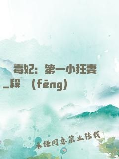 梟寵毒妃：第一小狂妻