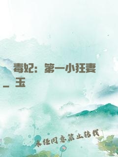 梟寵毒妃：第一小狂妻