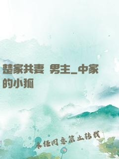 楚家共妻雙男主