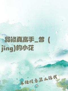 極品修真高手