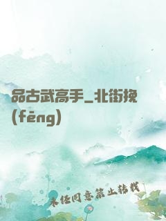 極品古武高手