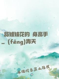 極品姐妹花的貼身高手