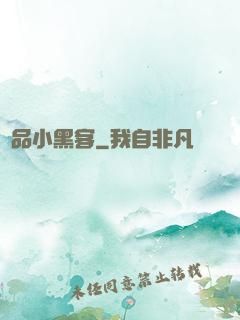 極品小黑客