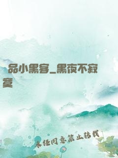 極品小黑客